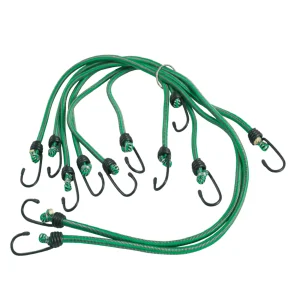 Set De 6 Elasticos Pulpo Talos Doite